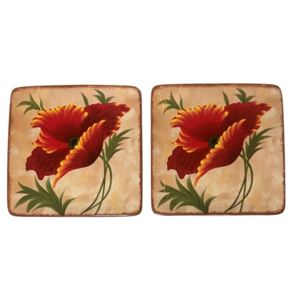 Pier 1 Poppies 8.5”x8.5” Small Plates Hand Painted Earthenware 2 Pc Set Red Tan